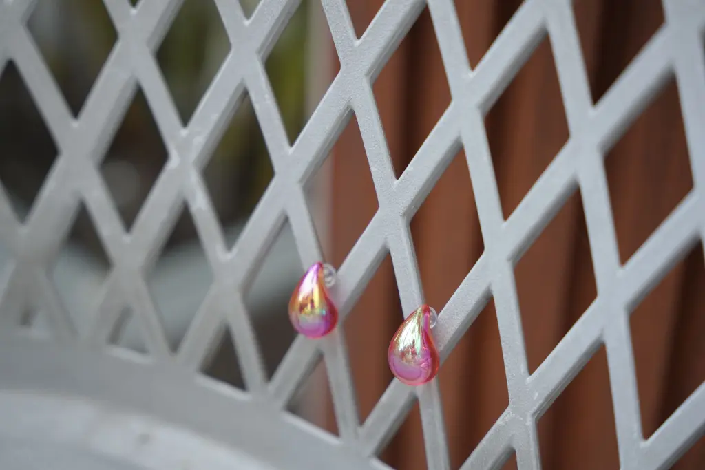 DSC00063.webp