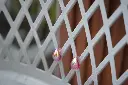 DSC00063.webp