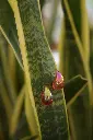 DSC00062.webp